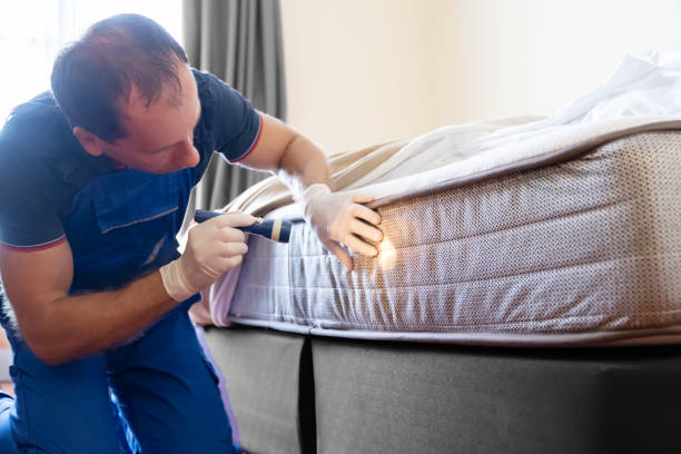 Best Bed Bug Extermination  in Ferndale, MI